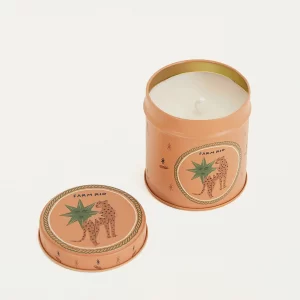 Vela selos místicos onça