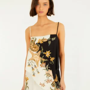 REGATA CONCHA SURREAL