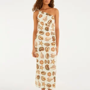 Vestido Reto Estampado Conchas