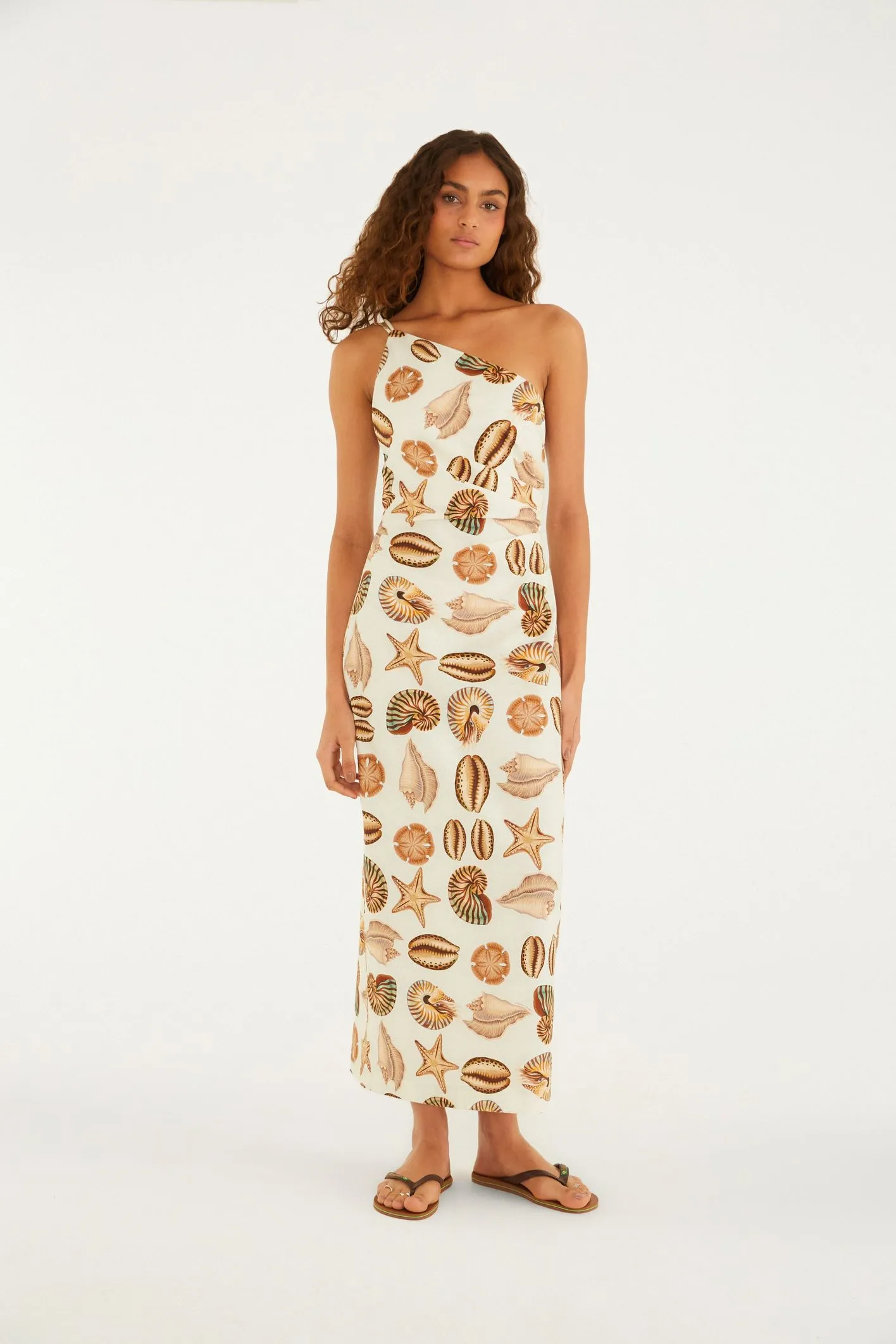 Vestido Reto Estampado Conchas